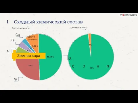 Сходный химический состав Живые организмы Земная кора Другие элементы