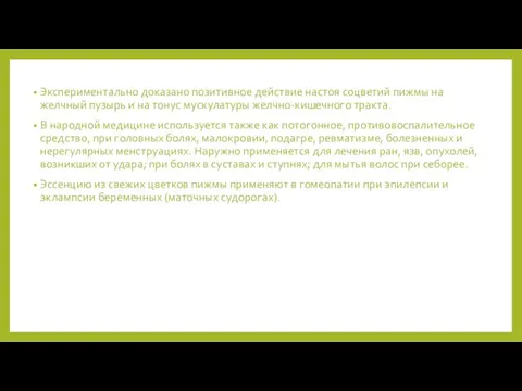 Экспериментально доказано позитивное действие настоя соцветий пижмы на желчный пузырь