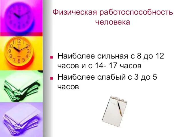 Физическая работоспособность человека Наиболее сильная с 8 до 12 часов