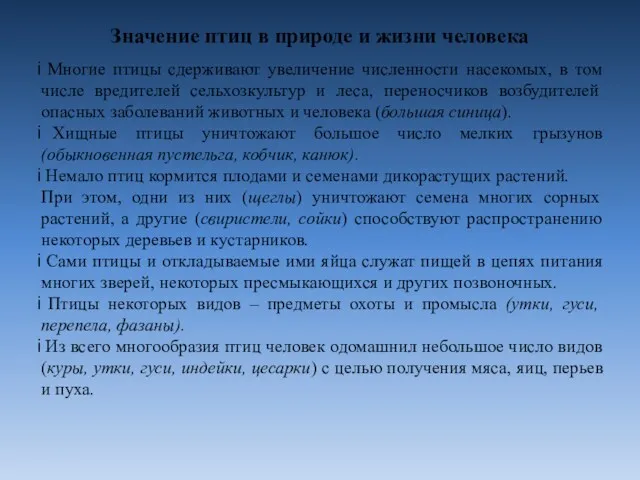 Значение птиц в природе и жизни человека Многие птицы сдерживают