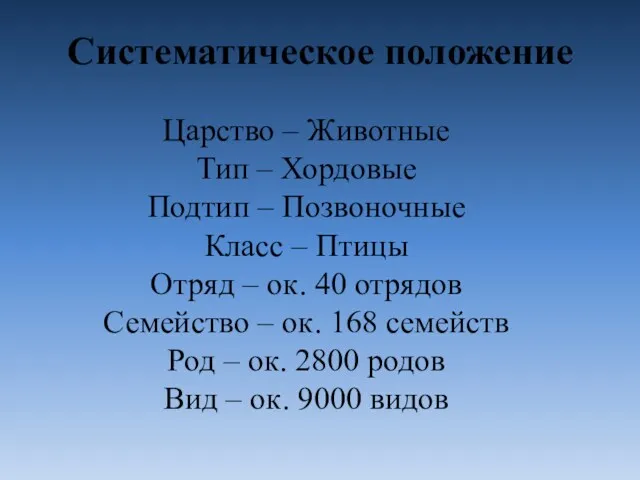 Систематическое положение Царство – Животные Тип – Хордовые Подтип –