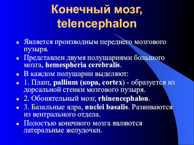 Конечный мозг, telencephalon Является производным переднего мозгового пузыря. Представлен двумя