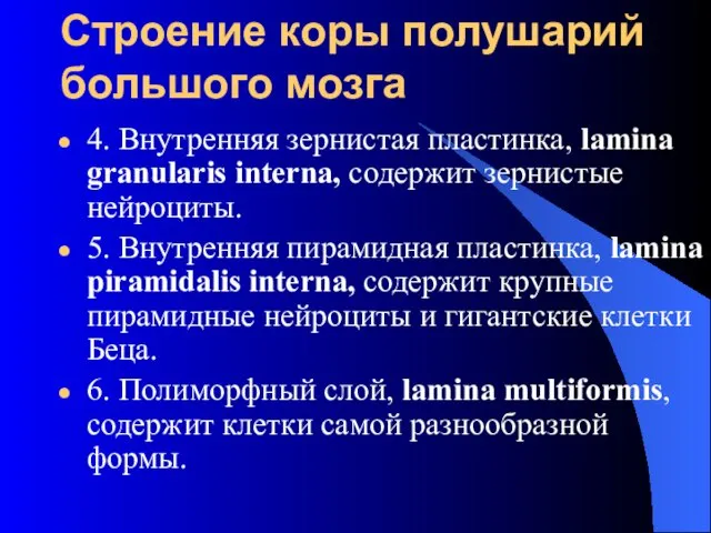 Строение коры полушарий большого мозга 4. Внутренняя зернистая пластинка, lamina