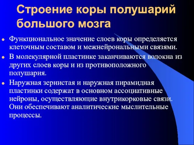 Строение коры полушарий большого мозга Функциональное значение слоев коры определяется