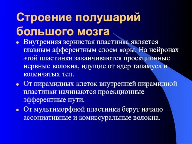 Строение полушарий большого мозга Внутренняя зернистая пластинка является главным афферентным