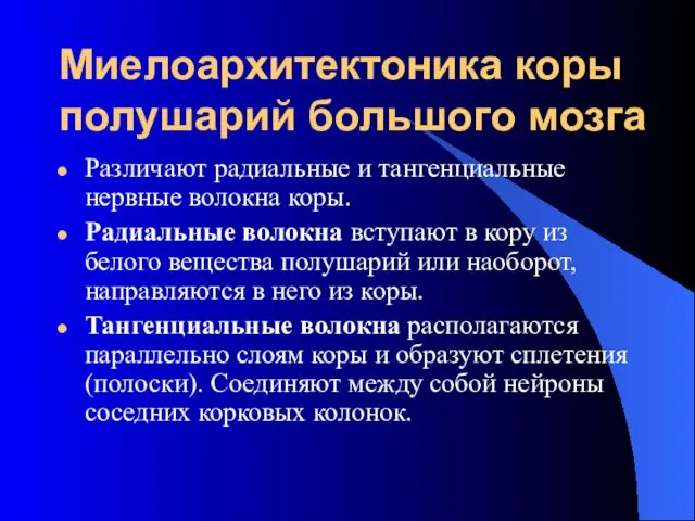 Миелоархитектоника коры полушарий большого мозга Различают радиальные и тангенциальные нервные