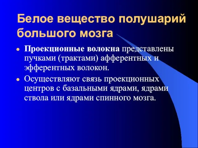 Белое вещество полушарий большого мозга Проекционные волокна представлены пучками (трактами)