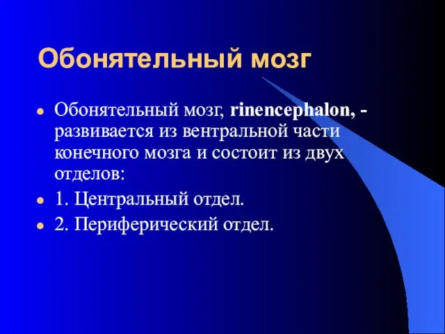 Обонятельный мозг Обонятельный мозг, rinencephalon, - развивается из вентральной части