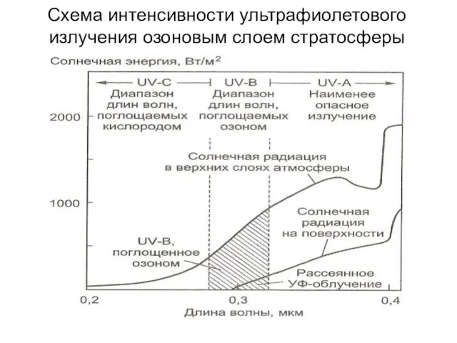 Схема интенсивности ультрафиолетового излучения озоновым слоем стратосферы