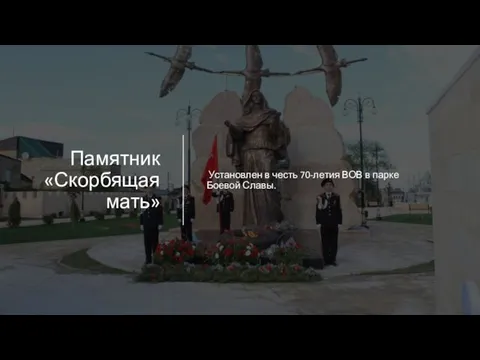 Памятник «Скорбящая мать» Установлен в честь 70-летия ВОВ в парке Боевой Славы.