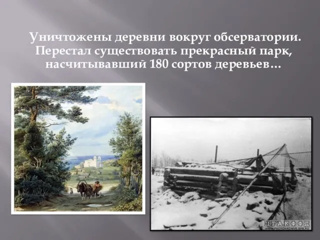 Уничтожены деревни вокруг обсерватории. Перестал существовать прекрасный парк, насчитывавший 180 сортов деревьев…