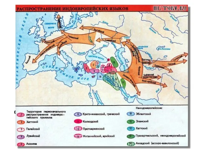 Лингвистика и история Славянские языки по степени их близости друг