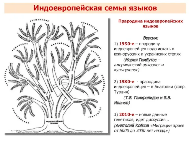 Прародина индоевропейских языков Версии: 1) 1950-е – прародину индоевропейцев надо