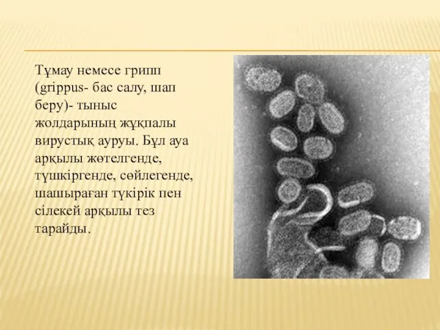 Тұмау немесе грипп (grippus- бас салу, шап беру)- тыныс жолдарының