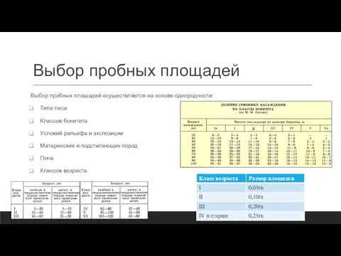 Выбор пробных площадей Выбор пробных площадей осуществляется на основе однородности: