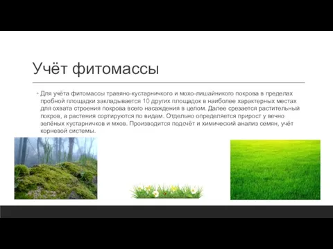 Учёт фитомассы Для учёта фитомассы травяно-кустарничкого и мохо-лишайникого покрова в