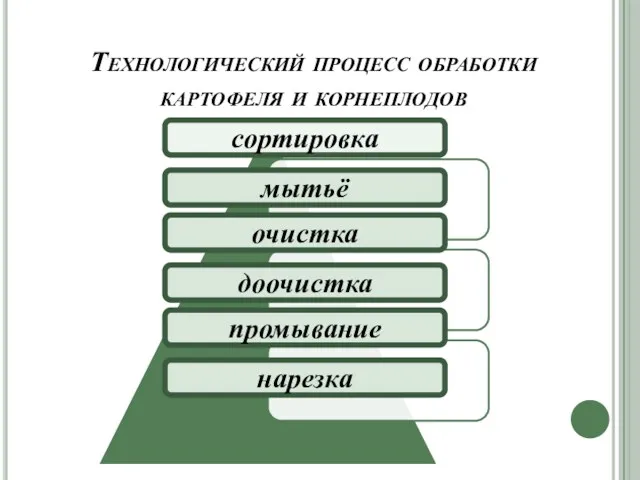 Технологический процесс обработки картофеля и корнеплодов сортировка мытьё очистка доочистка промывание нарезка