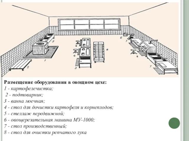 Размещение оборудования в овощном цехе: 1 - картофелечистка; 2 - подтоварник; 3 -