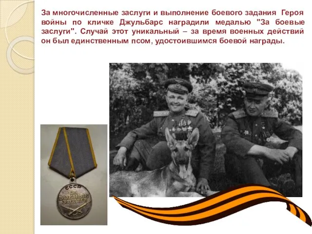 За многочисленные заслуги и выполнение боевого задания Героя войны по кличке Джульбарс наградили