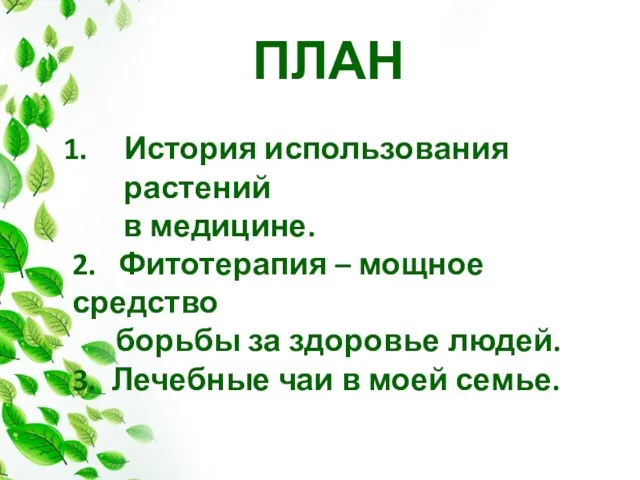 ПЛАН История использования растений в медицине. 2. Фитотерапия – мощное