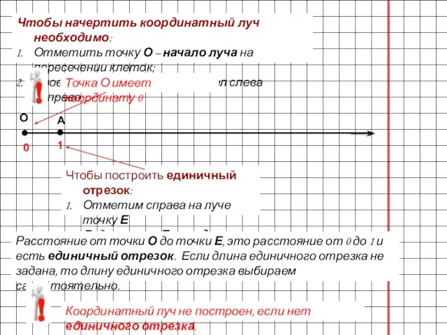 Чтобы начертить координатный луч необходимо: Отметить точку О – начало