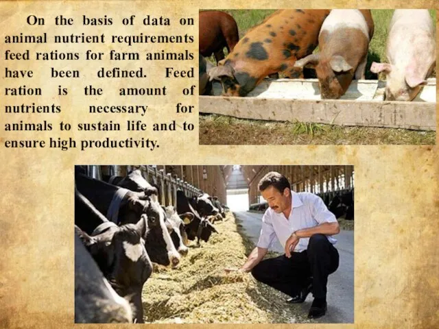 On the basis of data on animal nutrient requirements feed