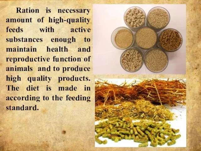 Ration is necessary amount of high-quality feeds with active substances