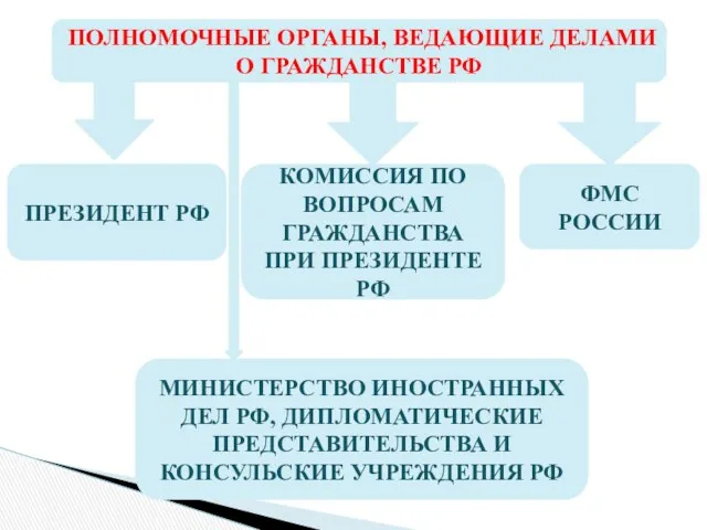 ПОЛНОМОЧНЫЕ ОРГАНЫ, ВЕДАЮЩИЕ ДЕЛАМИ О ГРАЖДАНСТВЕ РФ ПРЕЗИДЕНТ РФ КОМИССИЯ