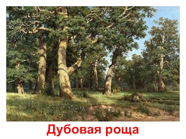 Дубовая роща