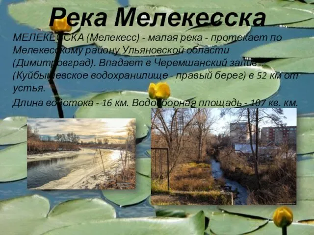Река Мелекесска МЕЛЕКЕССКА (Мелекесс) - малая река - протекает по