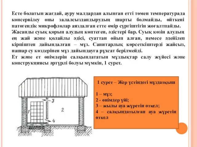 Есте болатын жағдай, ауру малдардан алынған етті төмен температурада консервілеу