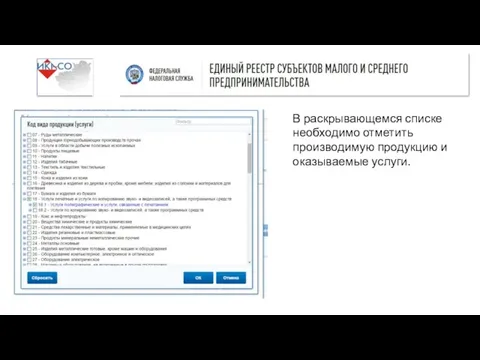 В раскрывающемся списке необходимо отметить производимую продукцию и оказываемые услуги.