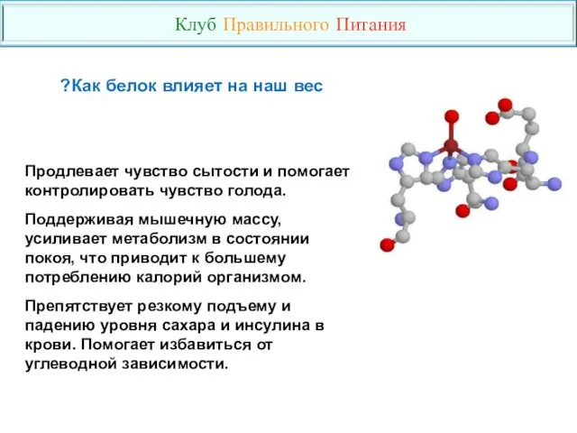 Продлевает чувство сытости и помогает контролировать чувство голода. Поддерживая мышечную