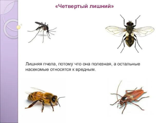 Лишняя пчела, потому что она полезная, а остальные насекомые относятся к вредным. «Четвертый лишний»