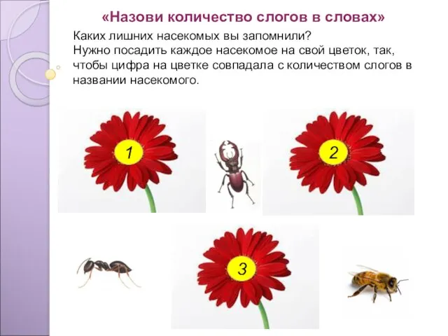 Каких лишних насекомых вы запомнили? Нужно посадить каждое насекомое на