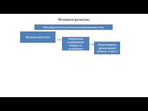 Механизм развития: Наследуется по аутосомно-рецессивному типу Мутация гена SGSH Нарушение