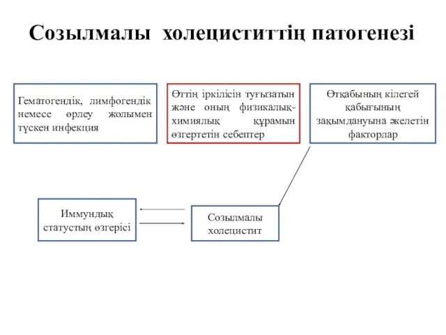 Созылмалы холециститтің патогенезі Гематогендік, лимфогендік немесе өрлеу жолымен түскен инфекция