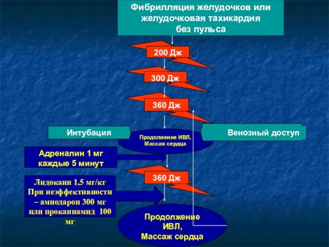 Фибрилляция желудочков или желудочковая тахикардия без пульса Продолжение ИВЛ, Массаж