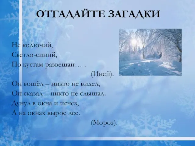 ОТГАДАЙТЕ ЗАГАДКИ Не колючий, Светло-синий, По кустам развешан… . (Иней).