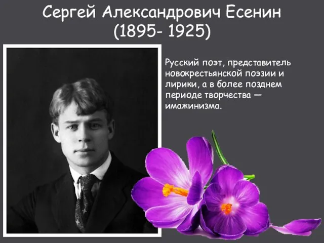 Сергей Александрович Есенин (1895- 1925) Русский поэт, представитель новокрестьянской поэзии