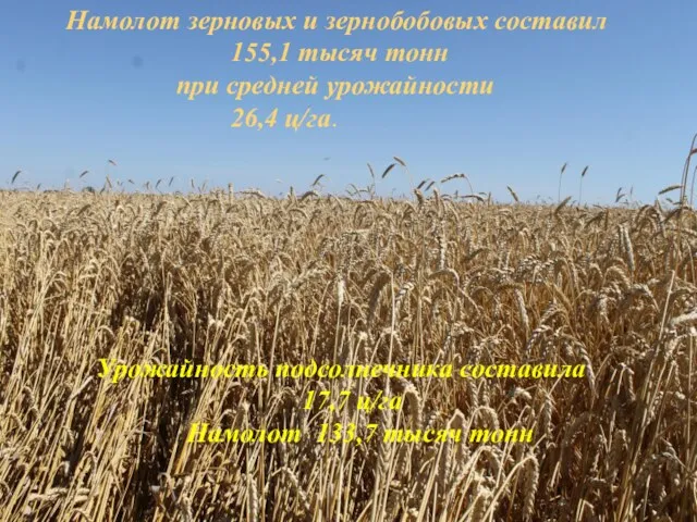 Намолот зерновых и зернобобовых составил 155,1 тысяч тонн при средней