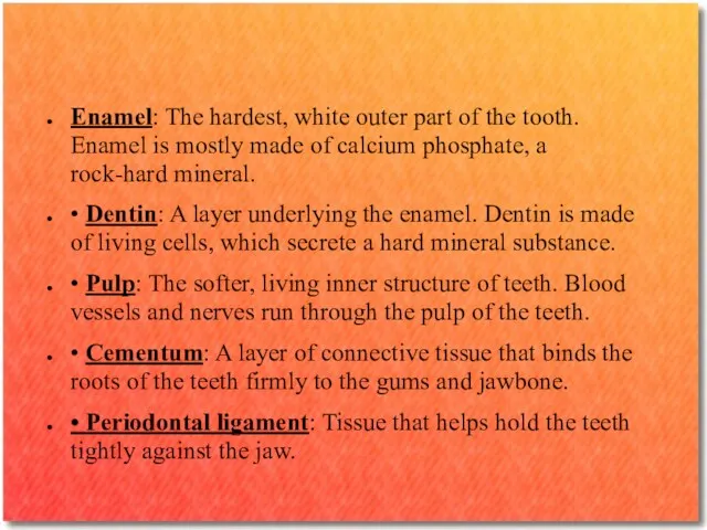 Enamel: The hardest, white outer part of the tooth. Enamel