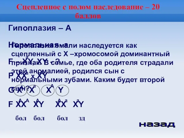 Сцепленное с полом наследование – 20 баллов Гипоплазия – А