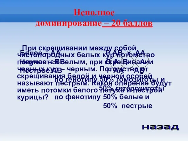 Неполное доминирование – 20 баллов При скрещивании между собой чистопородных