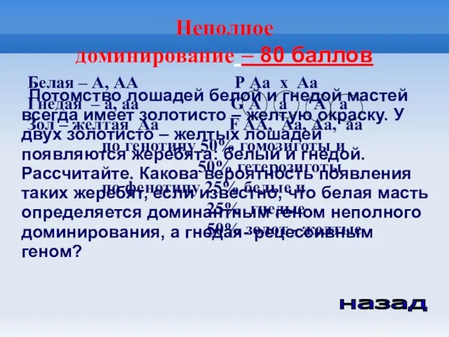 Неполное доминирование – 80 баллов Потомство лошадей белой и гнедой