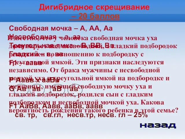 Дигибридное скрещивание – 20 баллов Известно, что у человека свободная