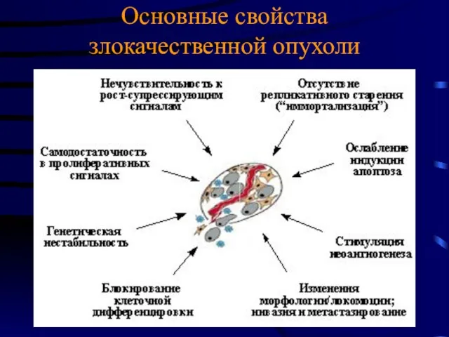 Основные свойства злокачественной опухоли