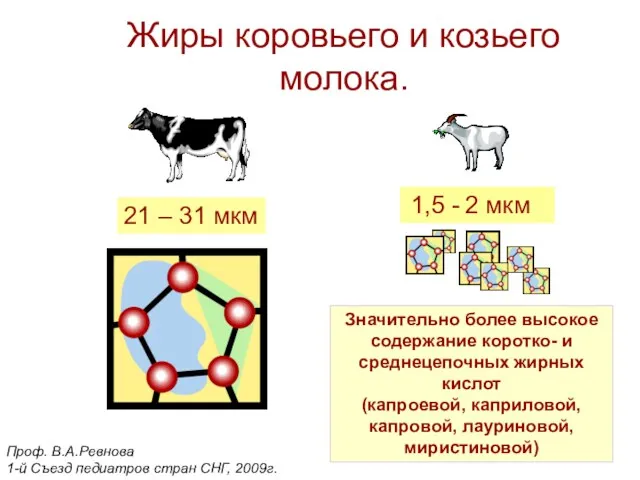 Жиры коровьего и козьего молока. Значительно более высокое содержание коротко- и среднецепочных жирных