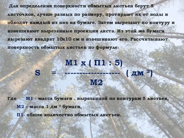 Для определения поверхности обмытых листьев берут 5 листочков, лучше разных