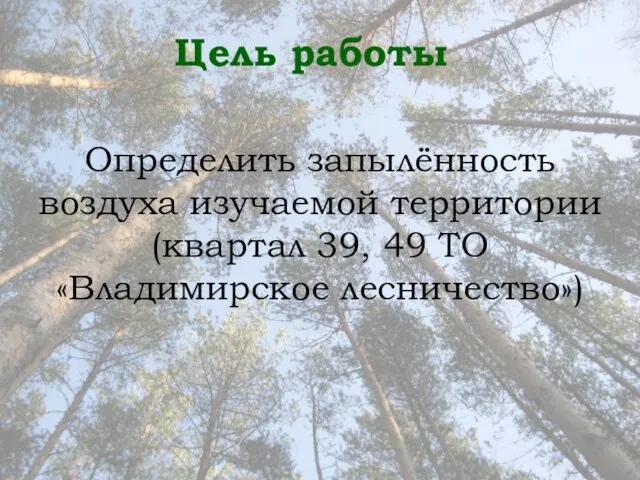 Цель работы Определить запылённость воздуха изучаемой территории (квартал 39, 49 ТО «Владимирское лесничество»)